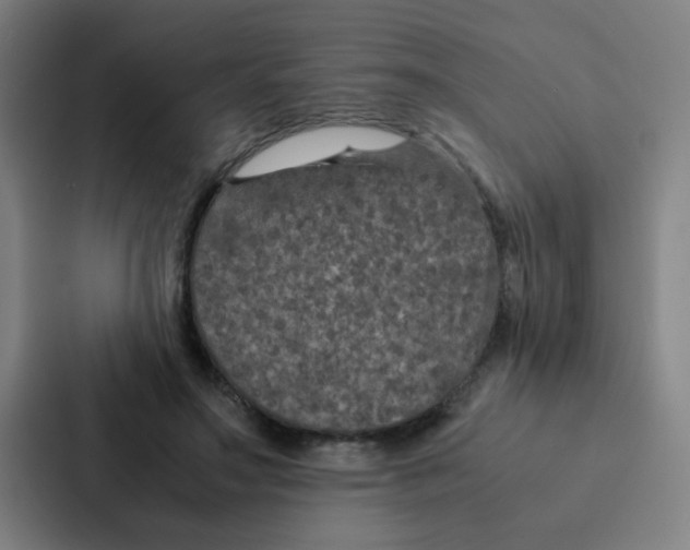 X0000087330499200705112159