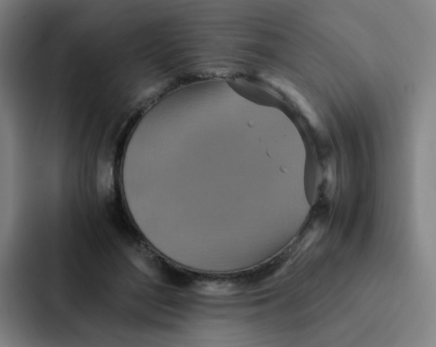 X0000087330500200705112159