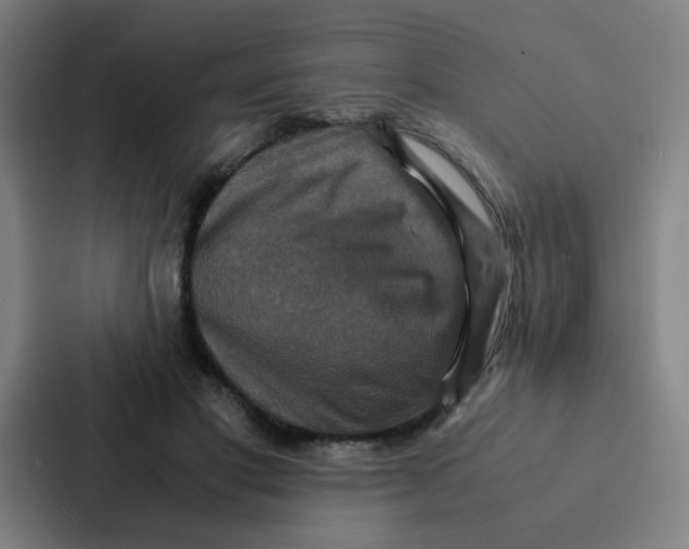 X0000087330501200705112159