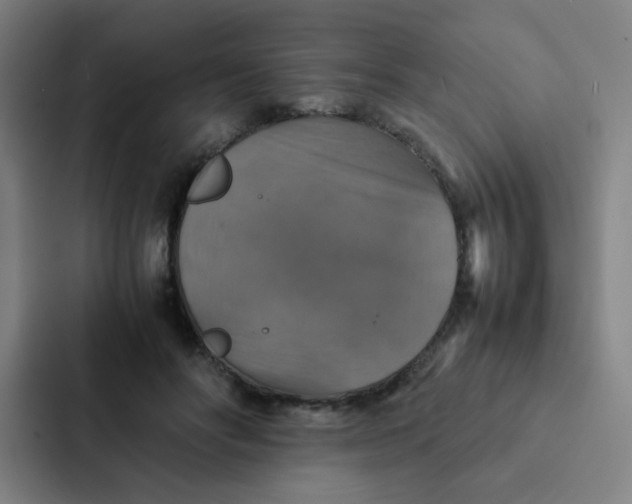 X0000087330502200705112159