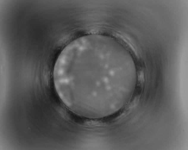 X0000087330503200705112159