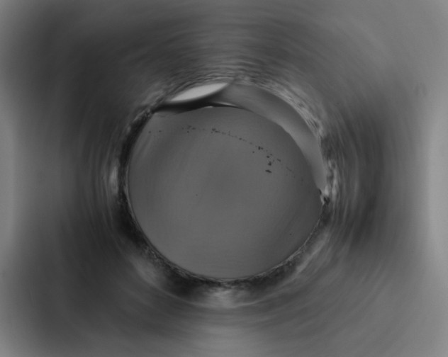 X0000087330504200705112159