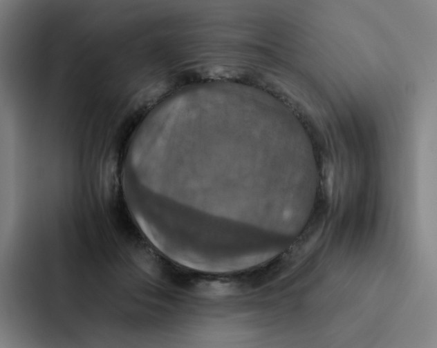 X0000087330506200705112159