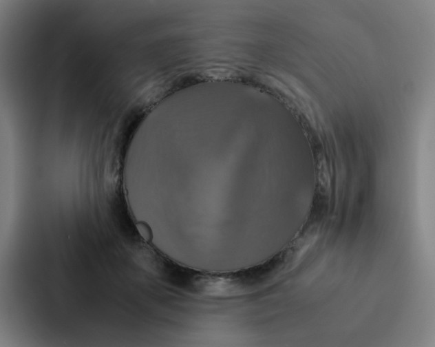 X0000087330507200705112159