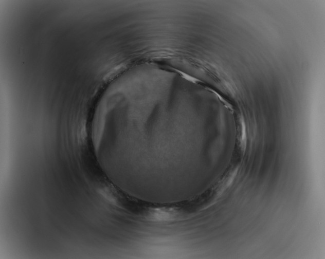 X0000087330508200705112159