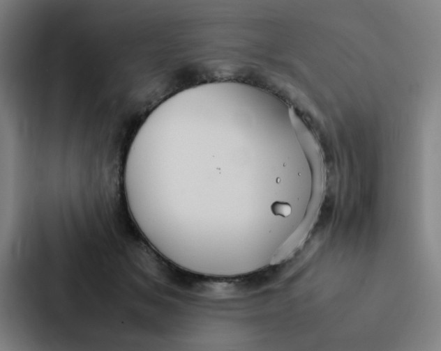 X0000087330509200705112159