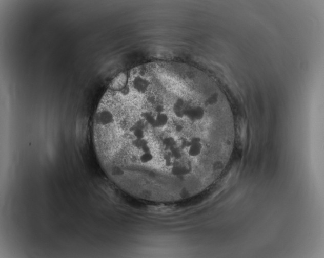 X0000087330511200705112159