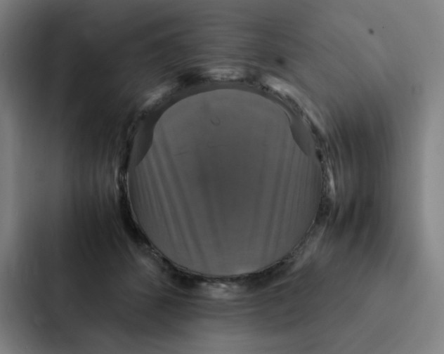 X0000087330512200705112159