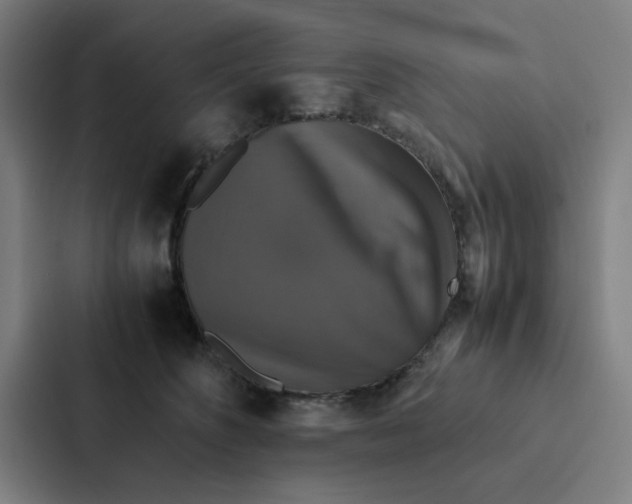 X0000087330516200705112159
