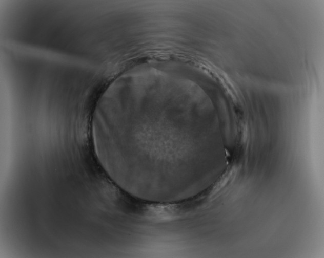 X0000087330517200705112159