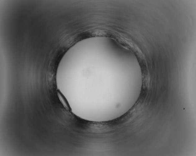 X0000087330521200705112159