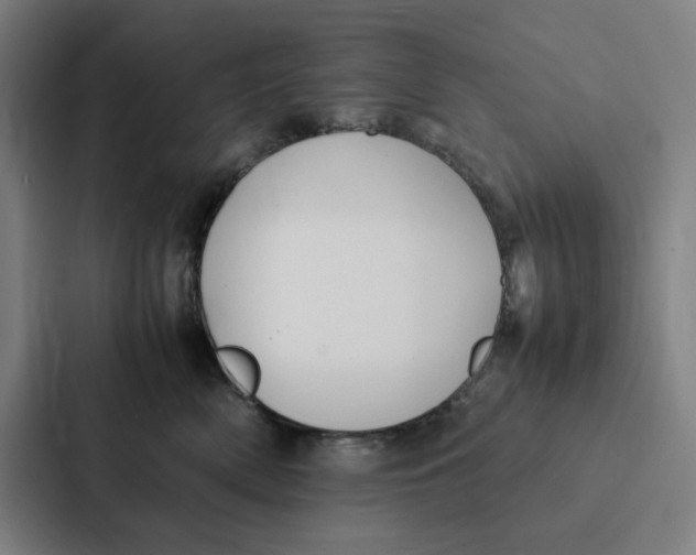 X0000087330522200705112159