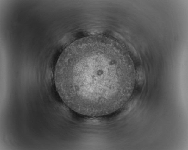 X0000087330523200705112159