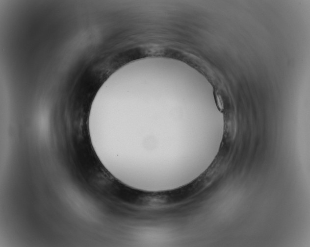 X0000087330525200705112159