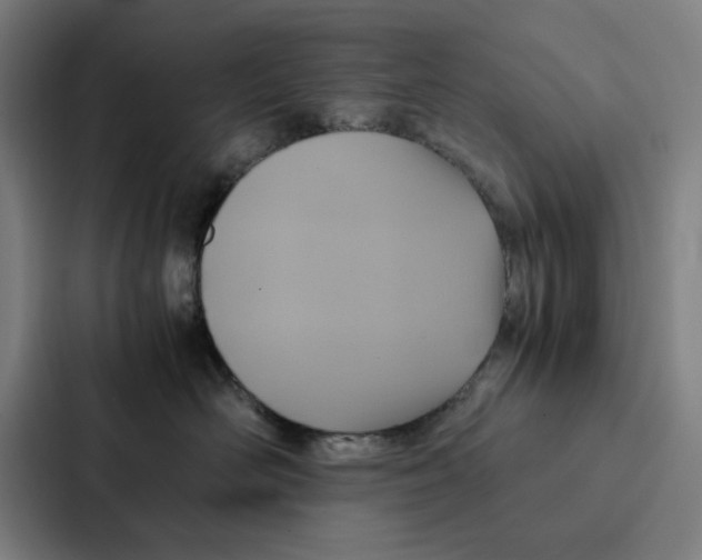 X0000087330526200705112159