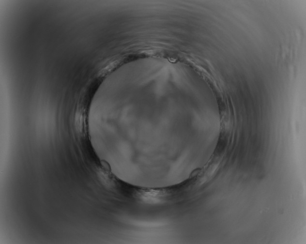 X0000087330527200705112159