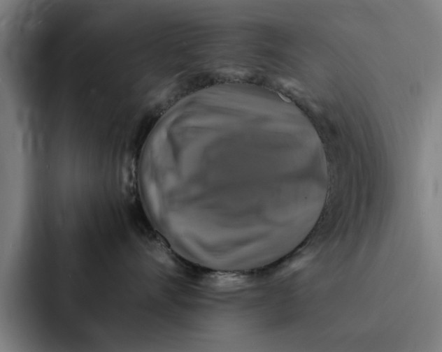 X0000087330528200705112159