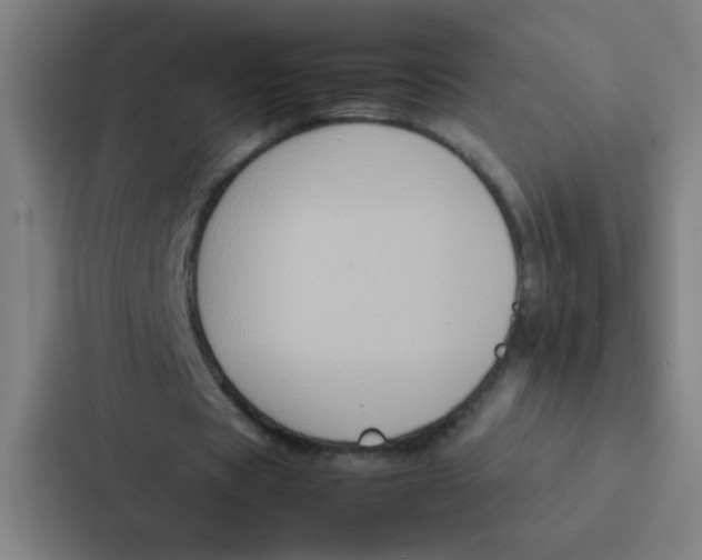 X0000087330529200705112158