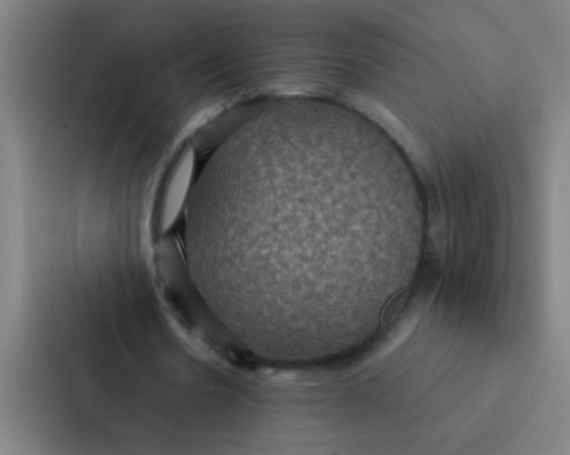 X0000087330530200705112159