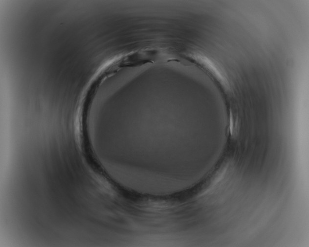 X0000087330531200705112159