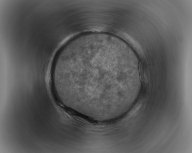 X0000087330532200705112159