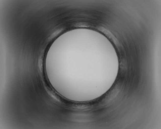 X0000087330533200705112159