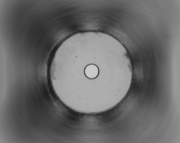 X0000087330534200705112159