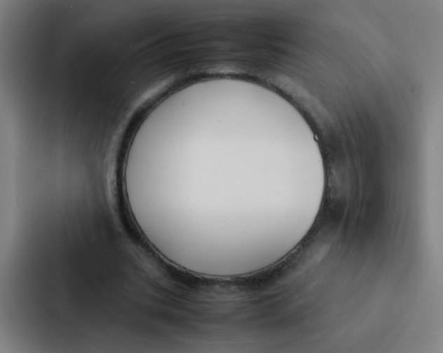 X0000087330535200705112159