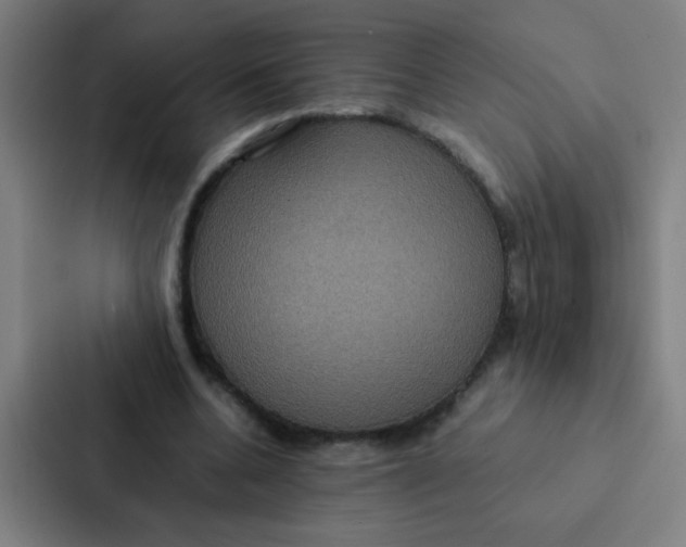 X0000087330536200705112159