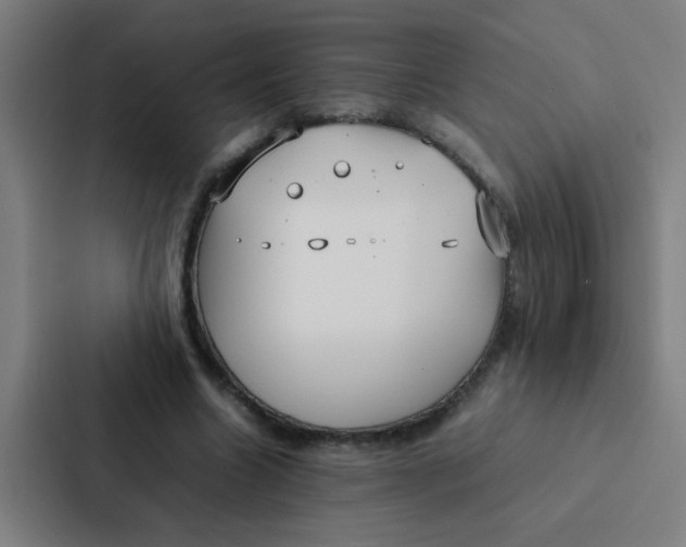 X0000087330538200705112159
