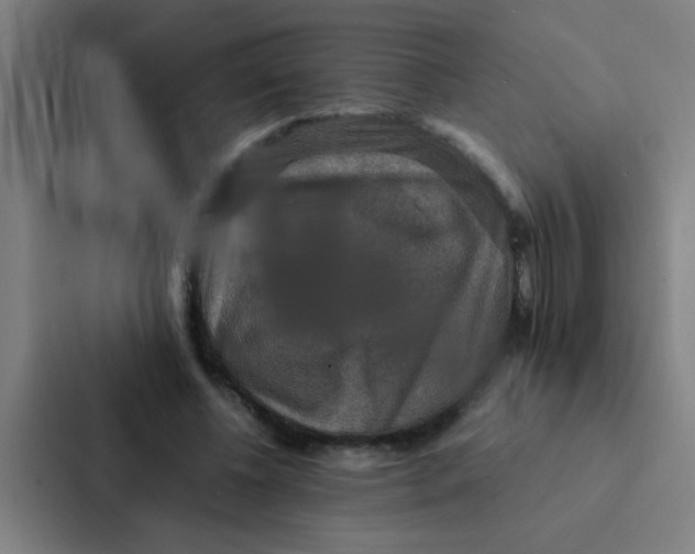 X0000087330540200705112159