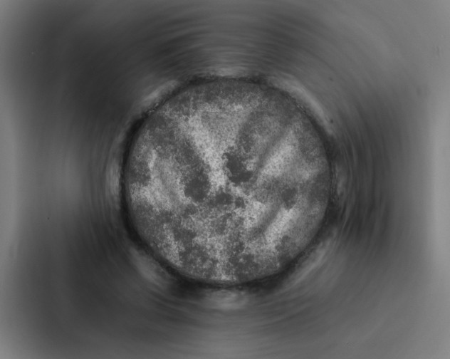 X0000087330542200705112159