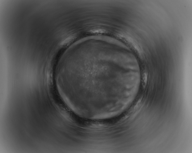 X0000087330547200705112159