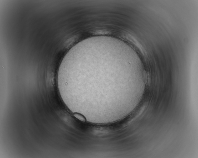 X0000087330549200705112159
