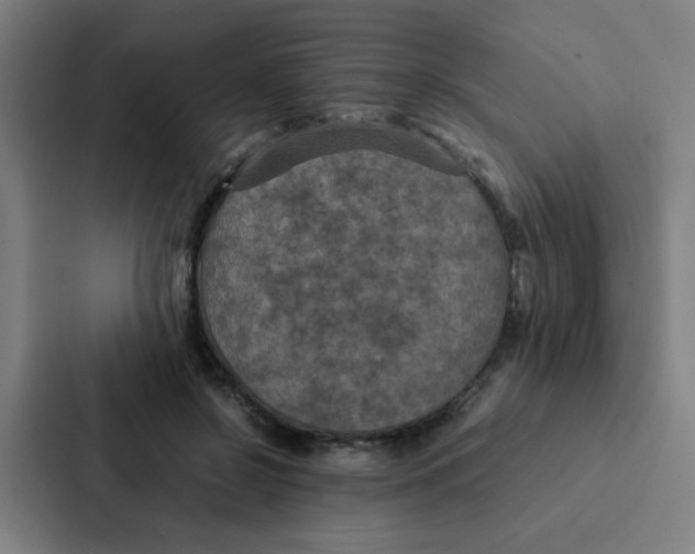 X0000087330550200705112159
