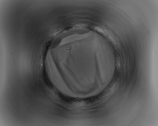 X0000087330551200705112159