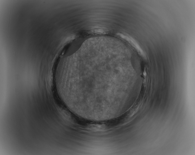 X0000087330552200705112159
