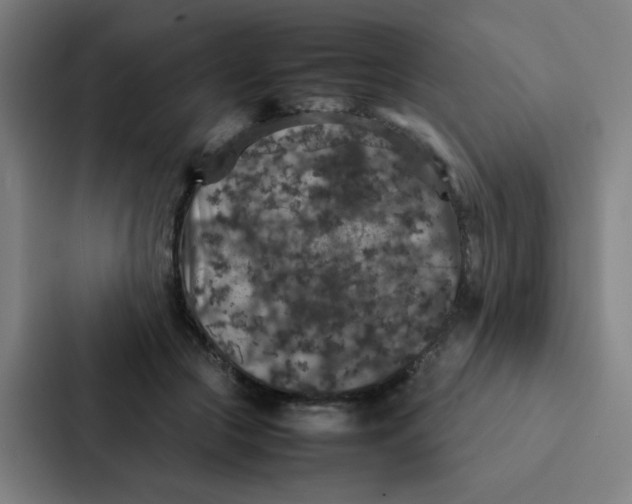 X0000087330553200705112159