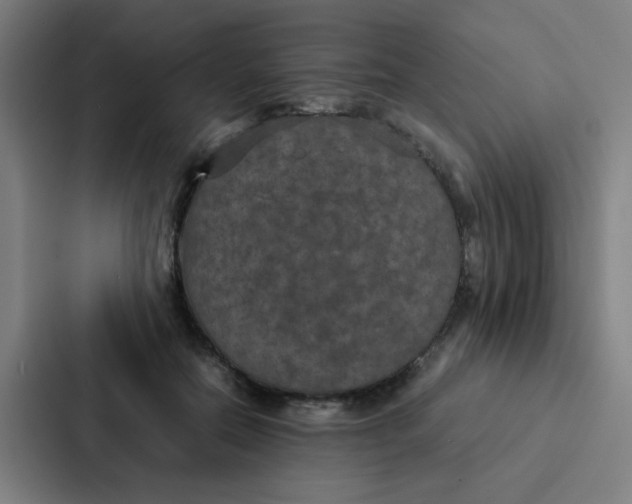 X0000087330554200705112159