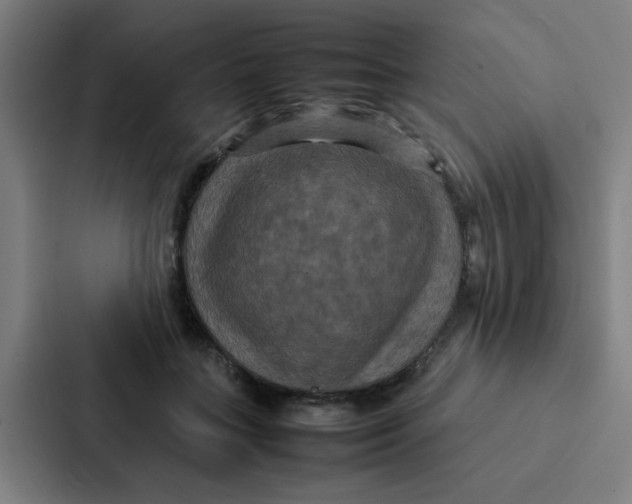X0000087330555200705112159