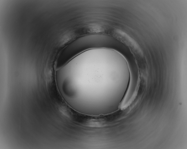 X0000087330556200705112159