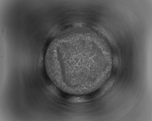 X0000087330557200705112159