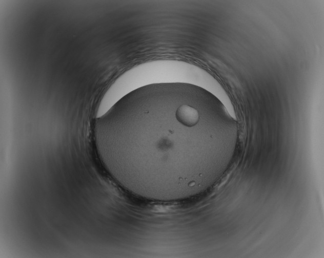 X0000087330560200705112159