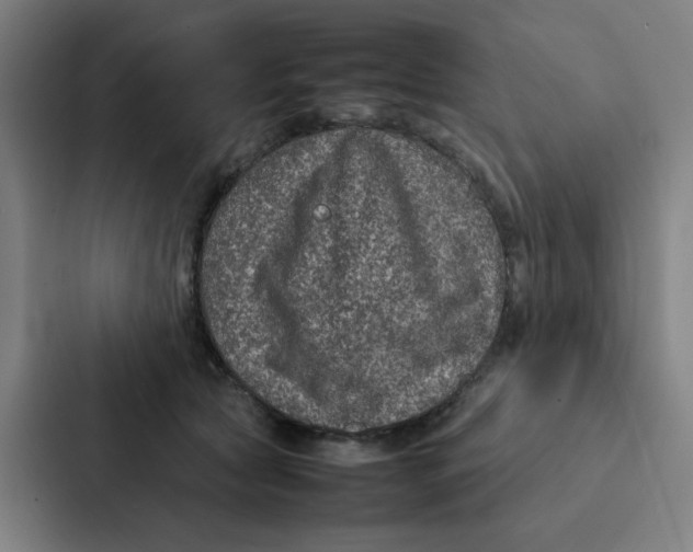 X0000087330561200705112159