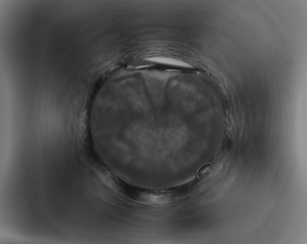 X0000087330563200705112159