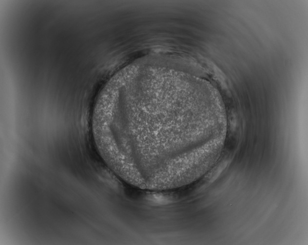 X0000087330565200705112159