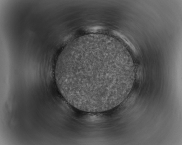 X0000087330569200705112159