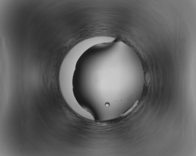 X0000087330570200705112159