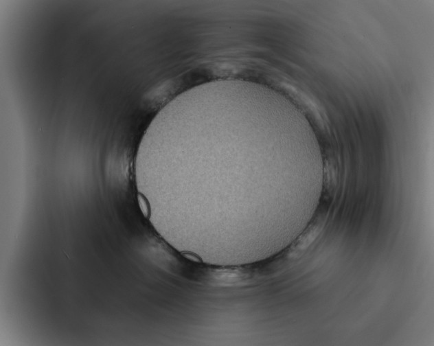 X0000087330574200705112159