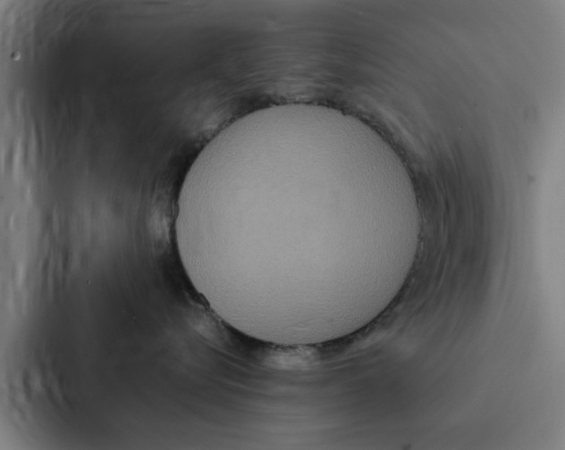 X0000087330576200705112159